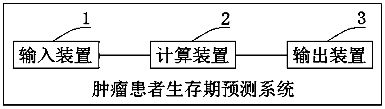 Tumor patient lifetime prediction system