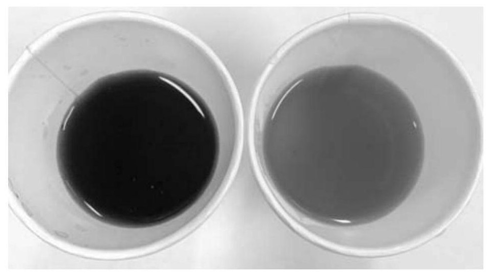 Eucommia ulmoides male flower anti-alcohol composition and preparation method thereof