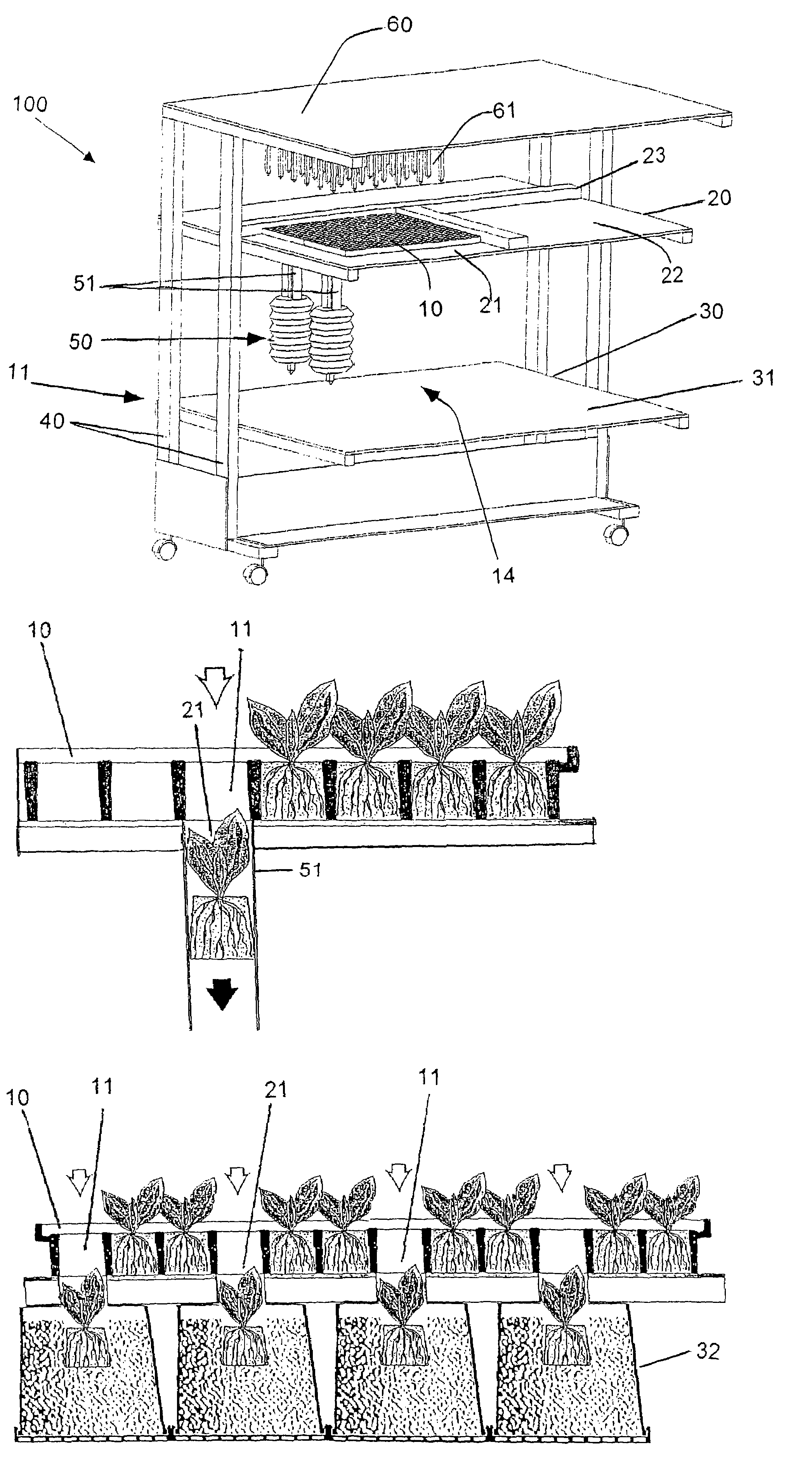 Air-pruning tray/container matrix transfer and transplanting system and methods