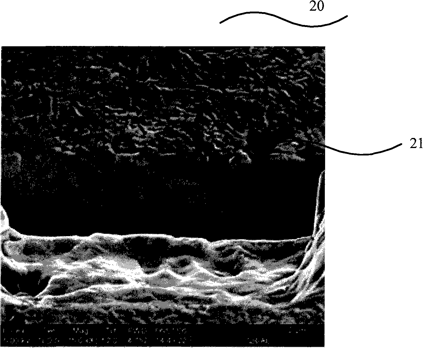 Aluminum cushion layer etching method and bump formation method