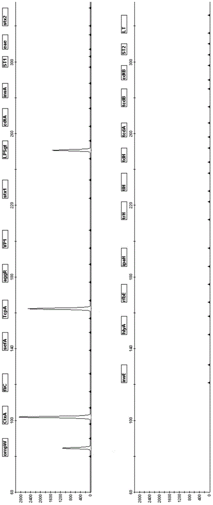 Multiplex PCR based primer pair and kit for detecting multiple intestinal pathogens