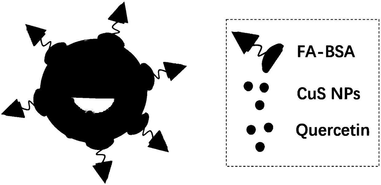 Quercetin drug-loading system based on copper sulphide-metal organic frame material