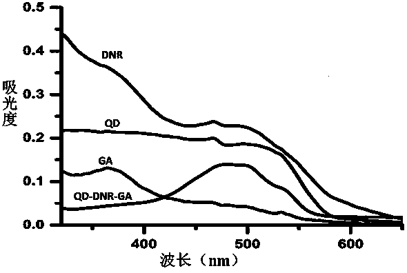 Preparation method of co-loaded daunorubicin and gambogic acid cdte quantum dot nano-drug loading system