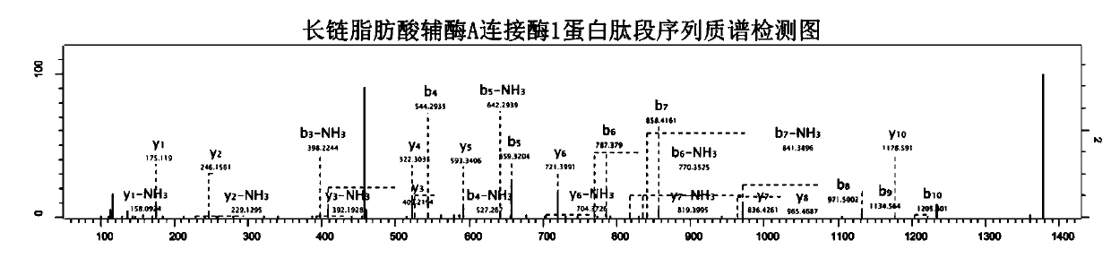 Application of labeling reagent of long-chain fatty acid coenzyme A ligase 1 in preeclampsia diagnosis or prediction