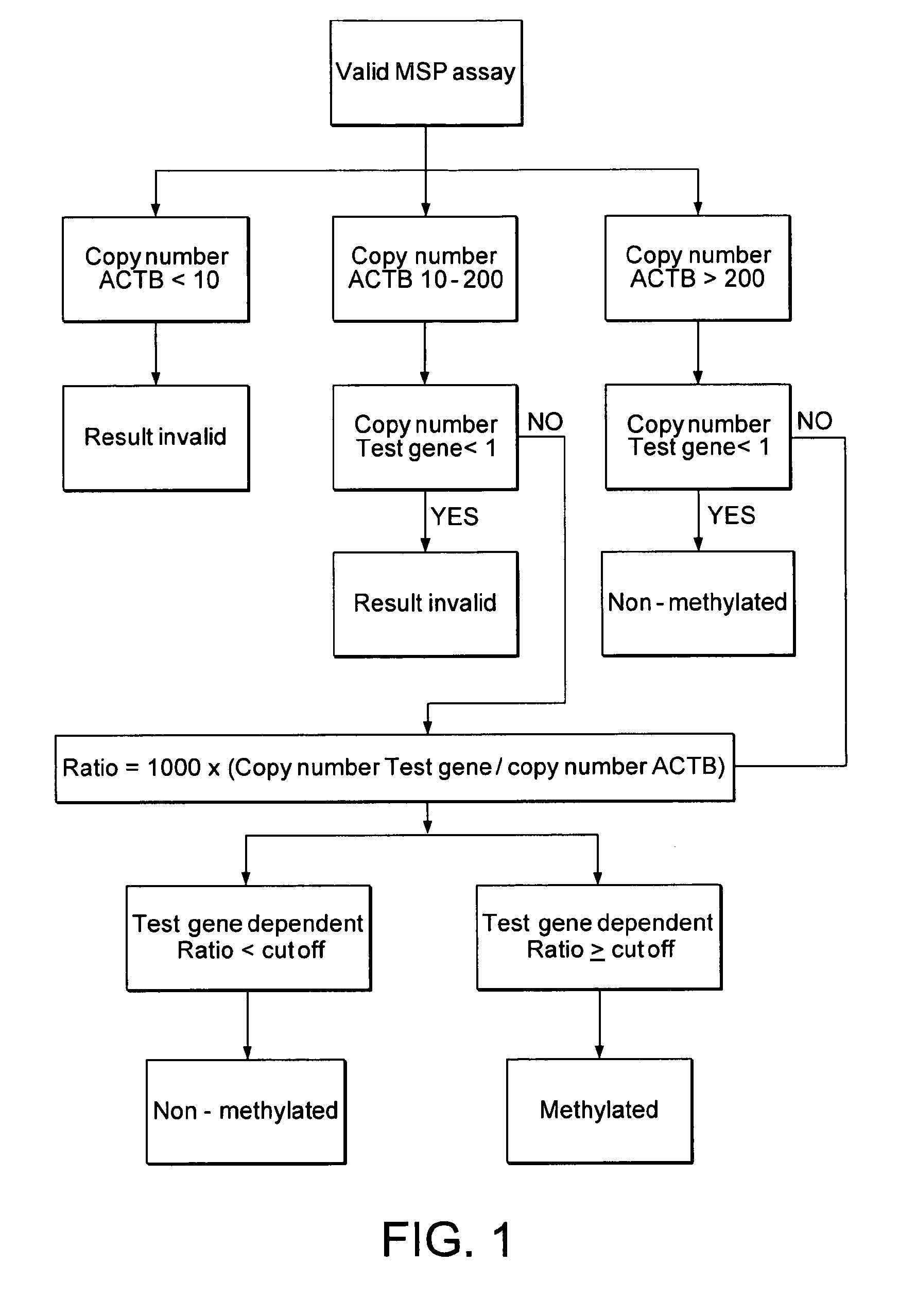 Method for Determining the Methylation Status of the Promoter Region of the TWIST1 Gene in Genomic DNA from Bladder Cells