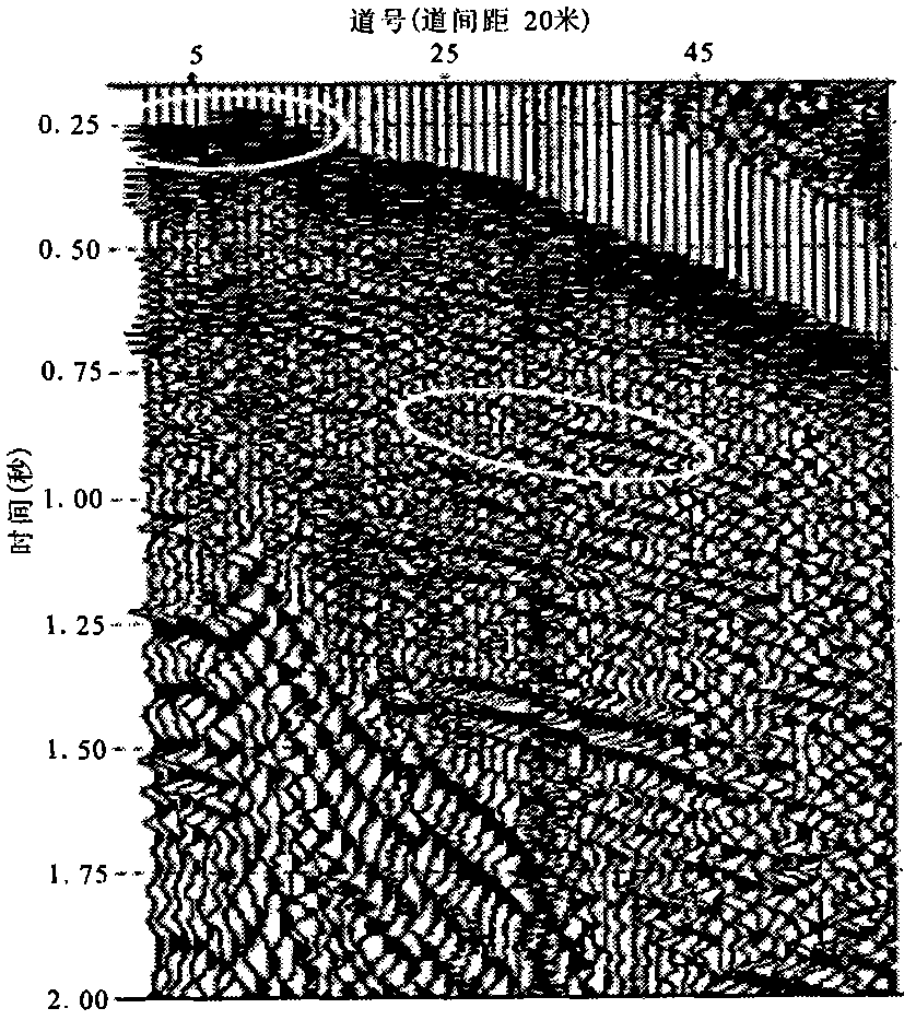 Multi-component converted wave static correction method by using surface waves