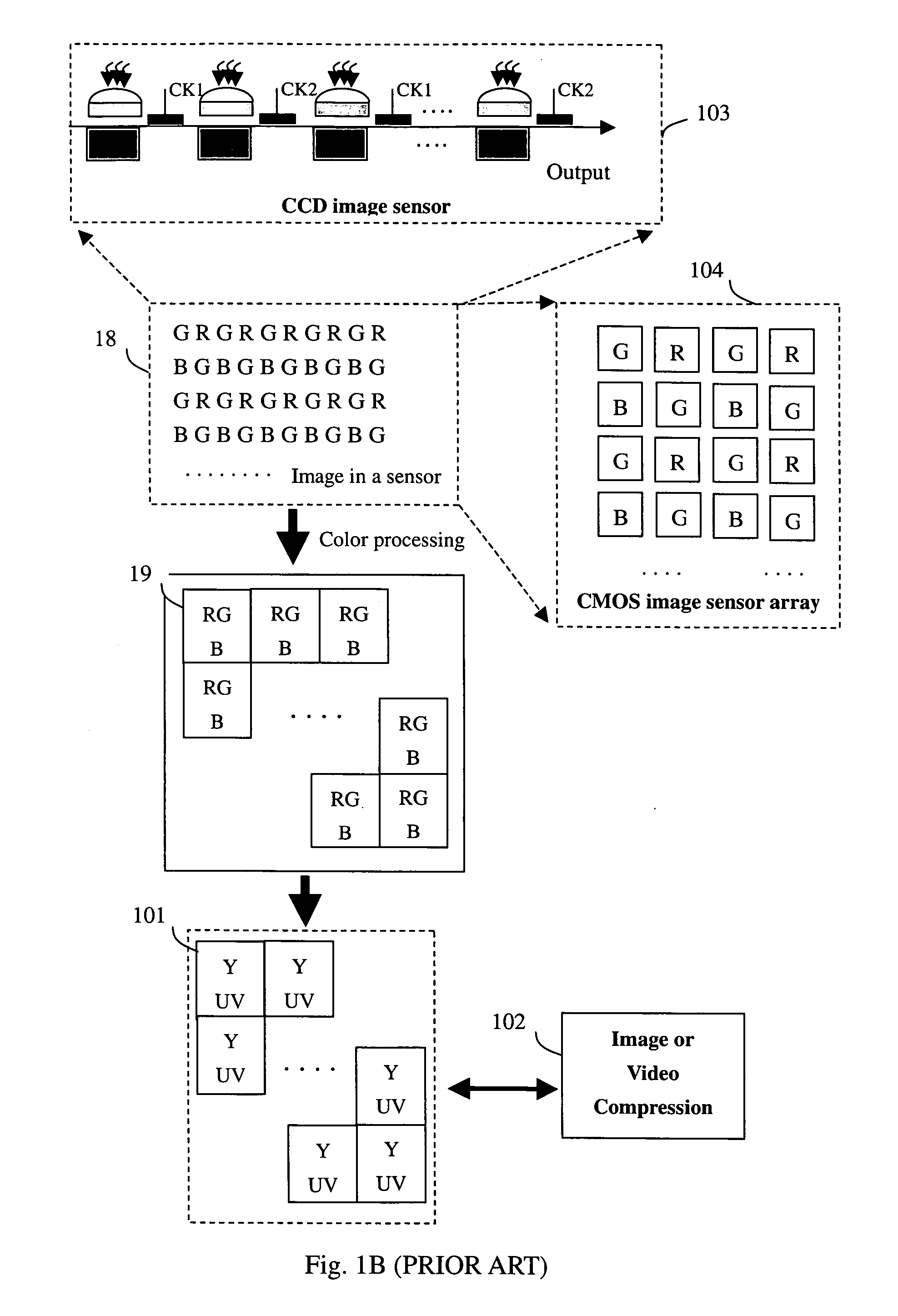 Method and apparatus of high efficiency image and video compression and display