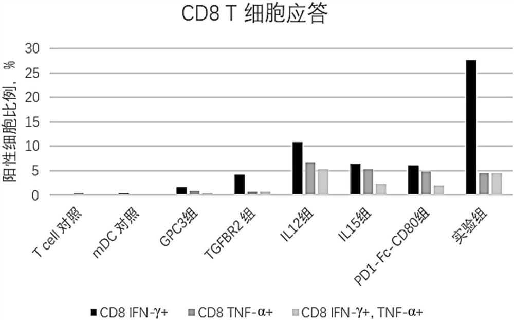 Immunomodulatory composition and application thereof