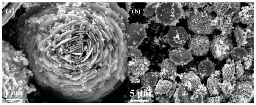 Camellia-flower-shaped ZnO/SnO-SnO2 composite material as well as preparation method and application thereof