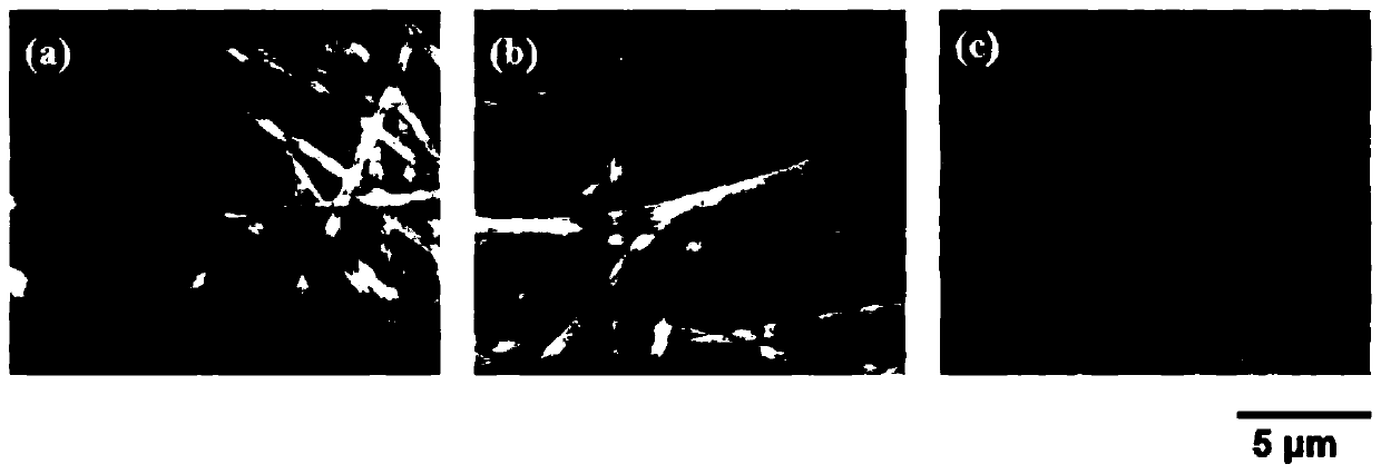 Antibacterial polysaccharide fiber material and preparation method thereof