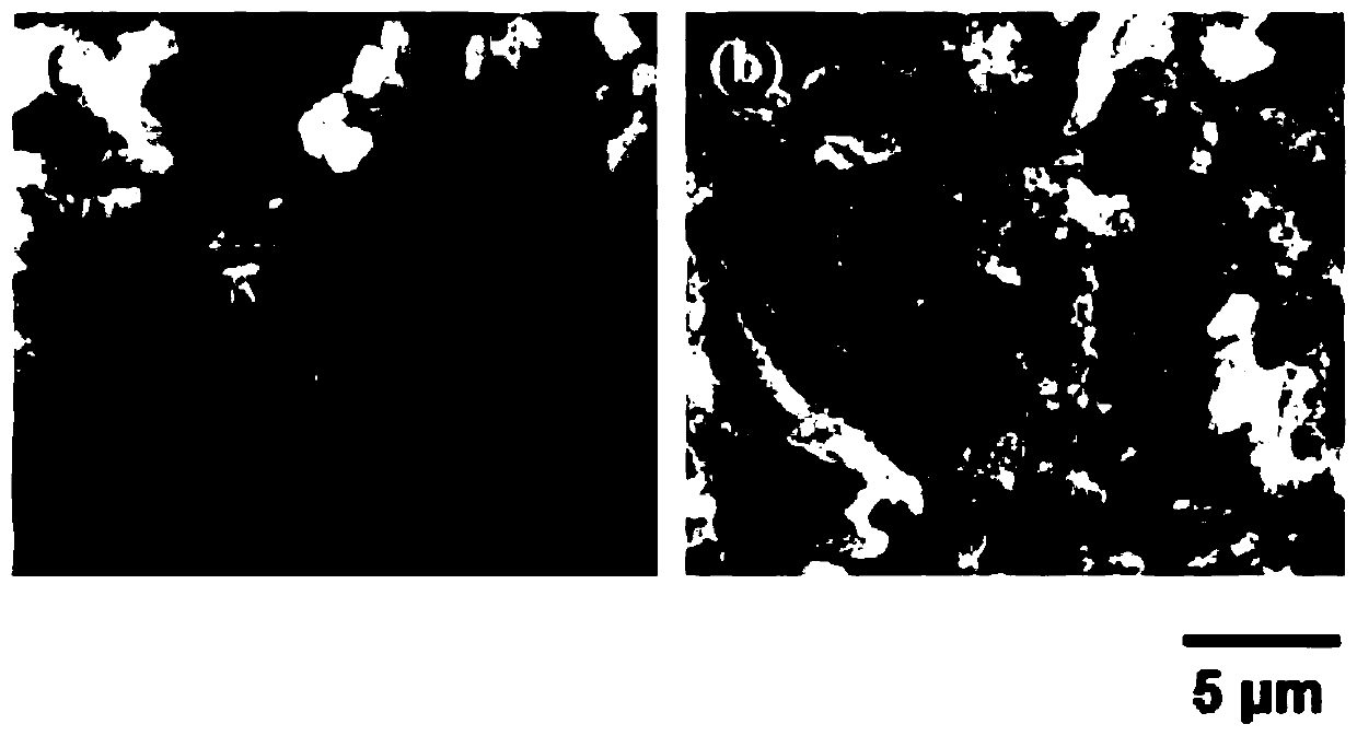 Antibacterial polysaccharide fiber material and preparation method thereof