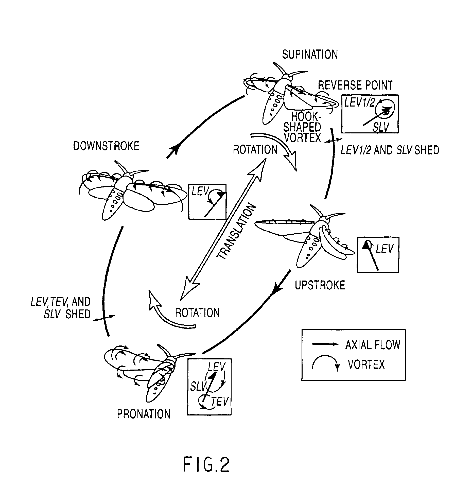 Biomimetic mechanism for micro aircraft