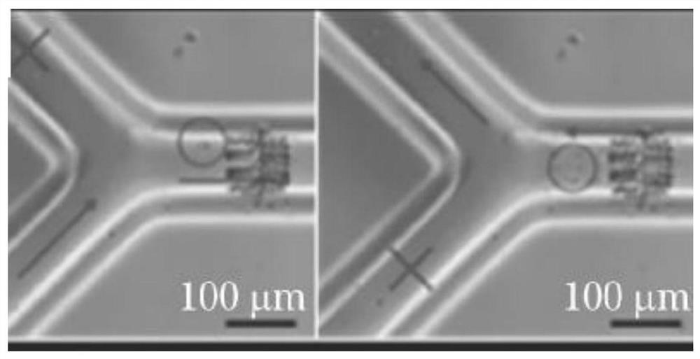 A method for preparing diphenyl ether derivatives by an improved microchannel process