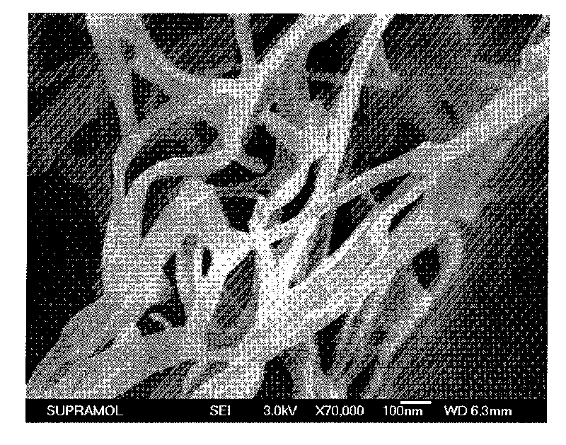 Quinacridone derivatives containing urea bonds and gels thereof