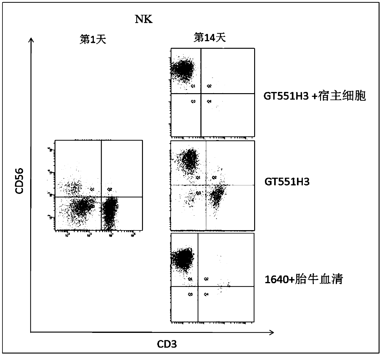 A method for amplifying and activating lak cells without fetal bovine serum