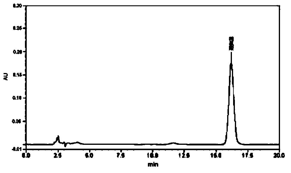 Radix isatidis particle quality control method