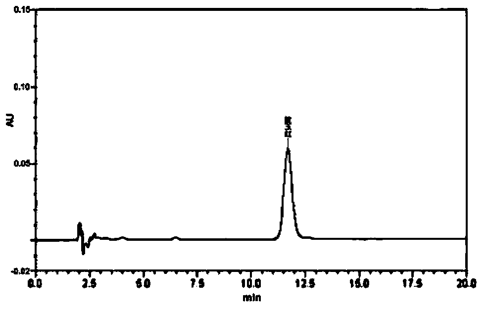 Radix isatidis particle quality control method