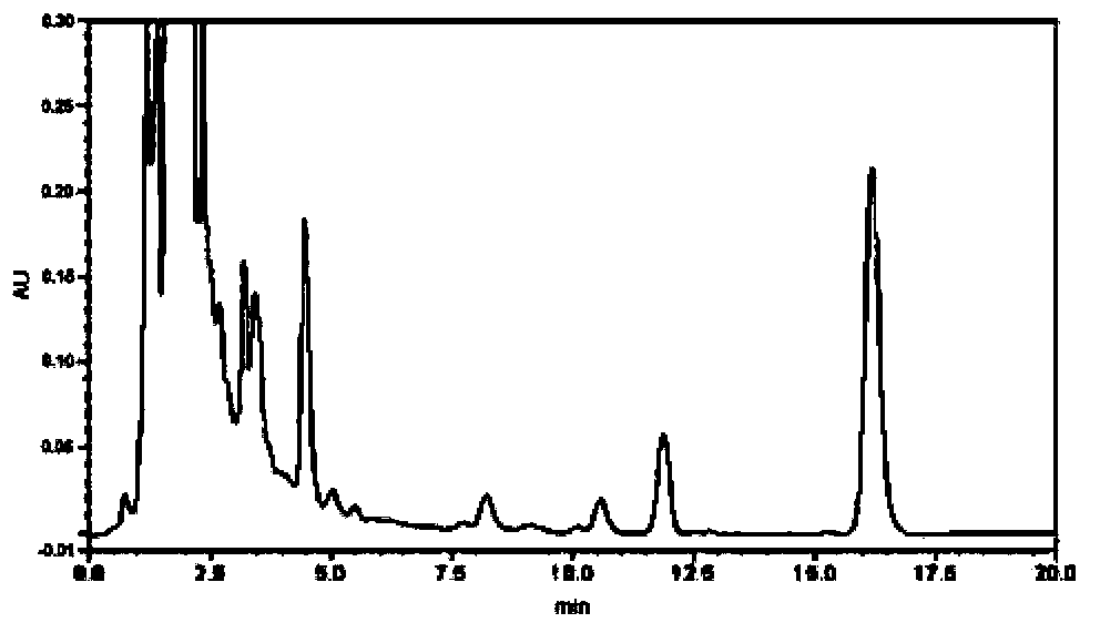 Radix isatidis particle quality control method