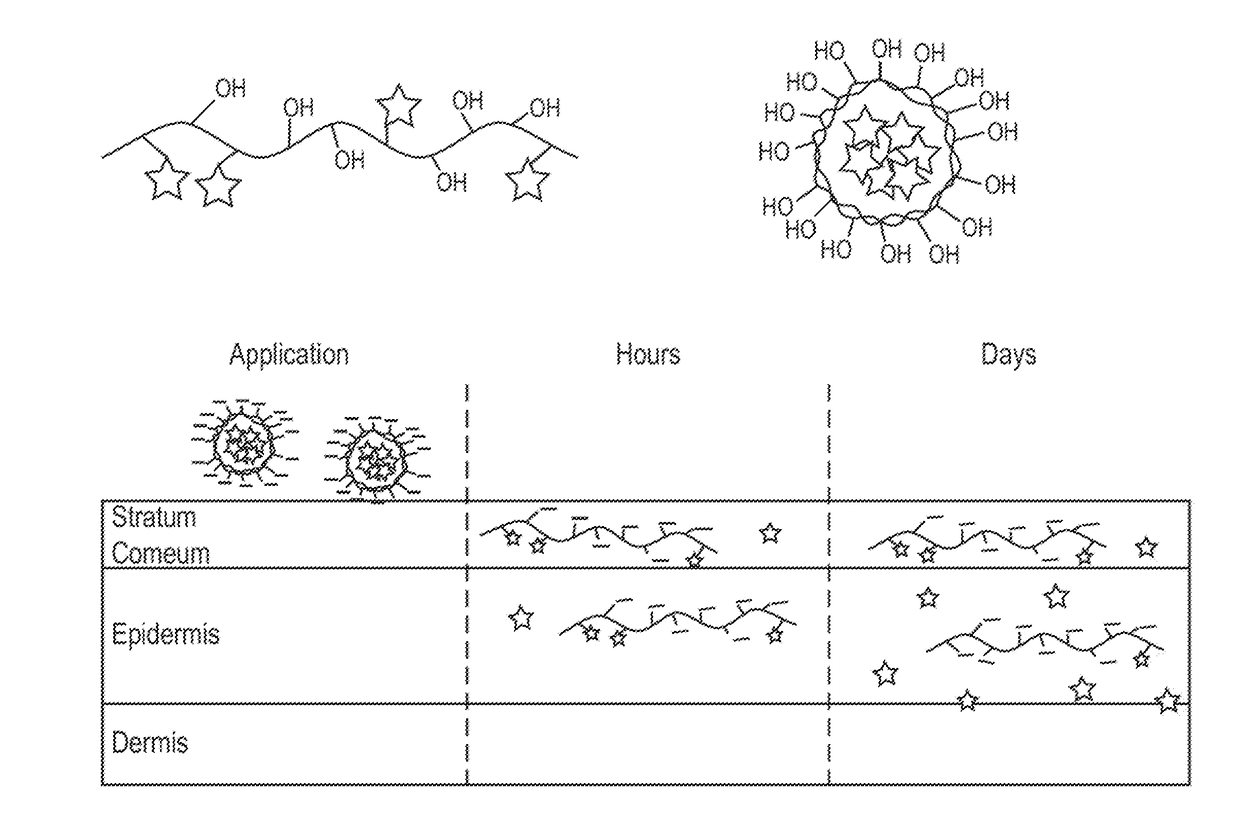 Nano-fibular nanoparticle polymer-drug conjugate for sustained dermal delivery of retinoids