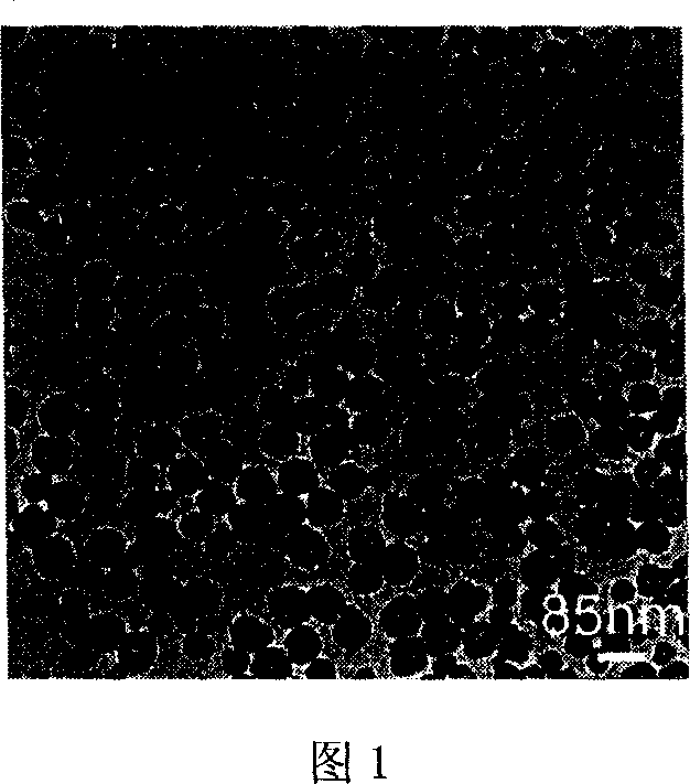 Prepn process of hollow silica ball