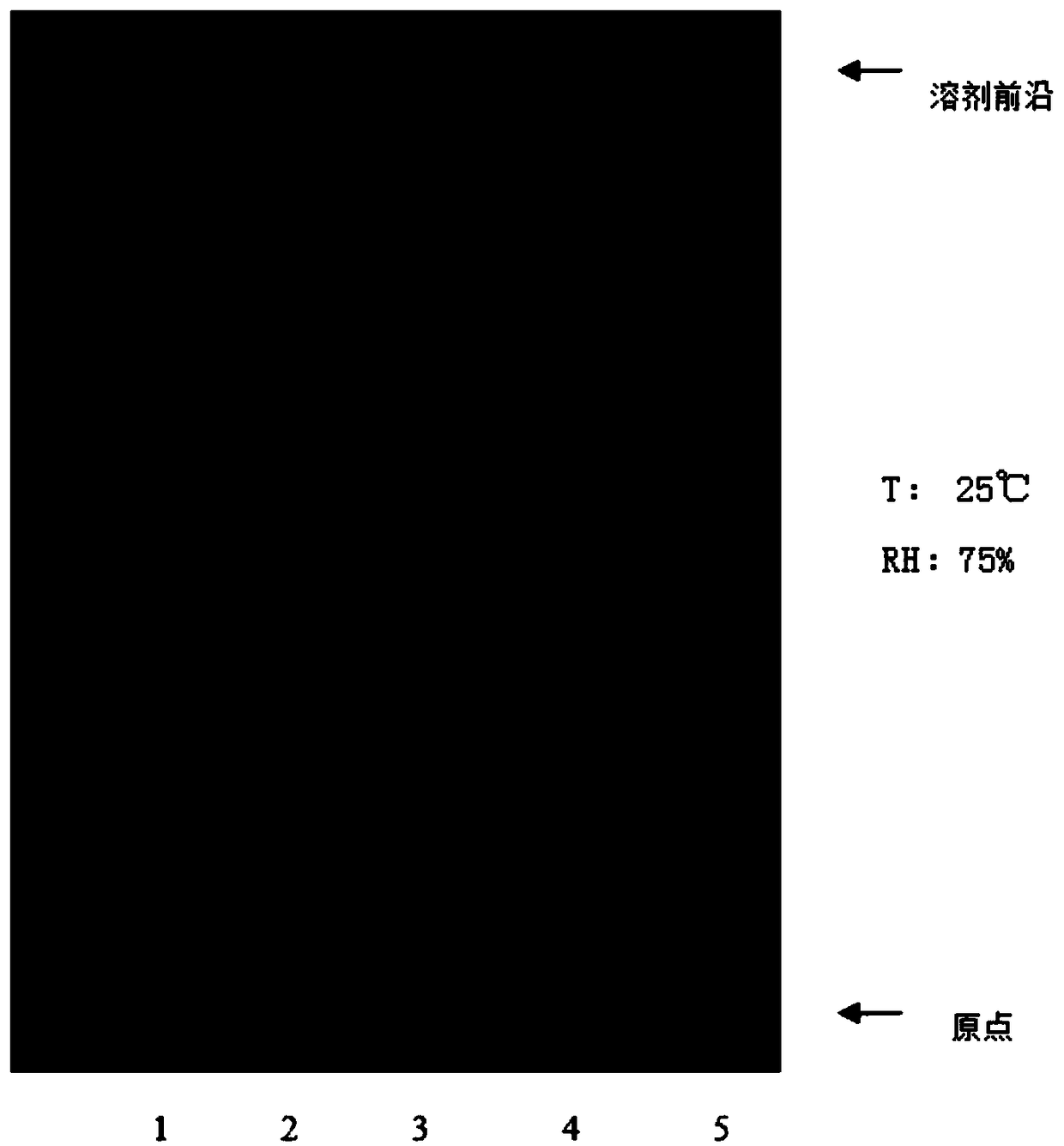 Thin-layer identification method used for controlling qualities of dry leaves of Nelumbo nucifera Gaertn, decoction pieces and formula granules