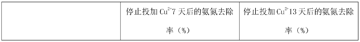 Water treatment filler and preparation method thereof