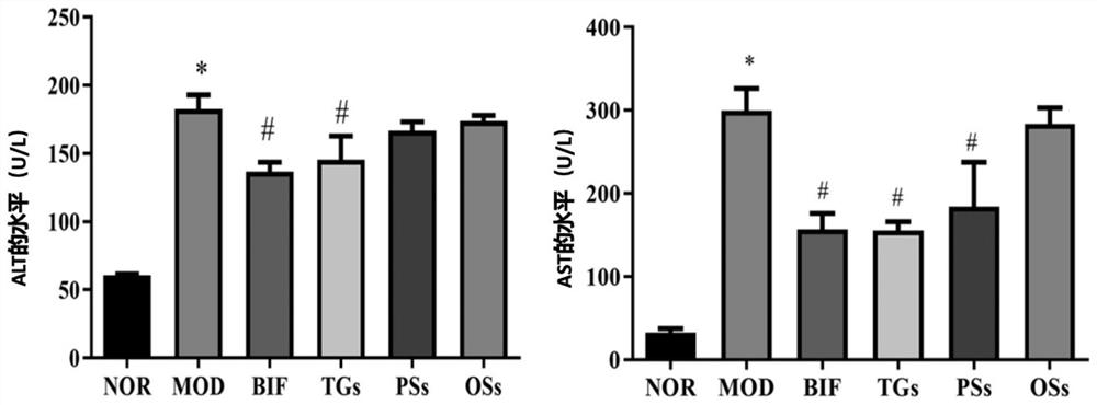 Application of cistanche total glycosides and echinacoside in preparation of medicines for preventing and treating alcoholic liver injury with intestinal injury