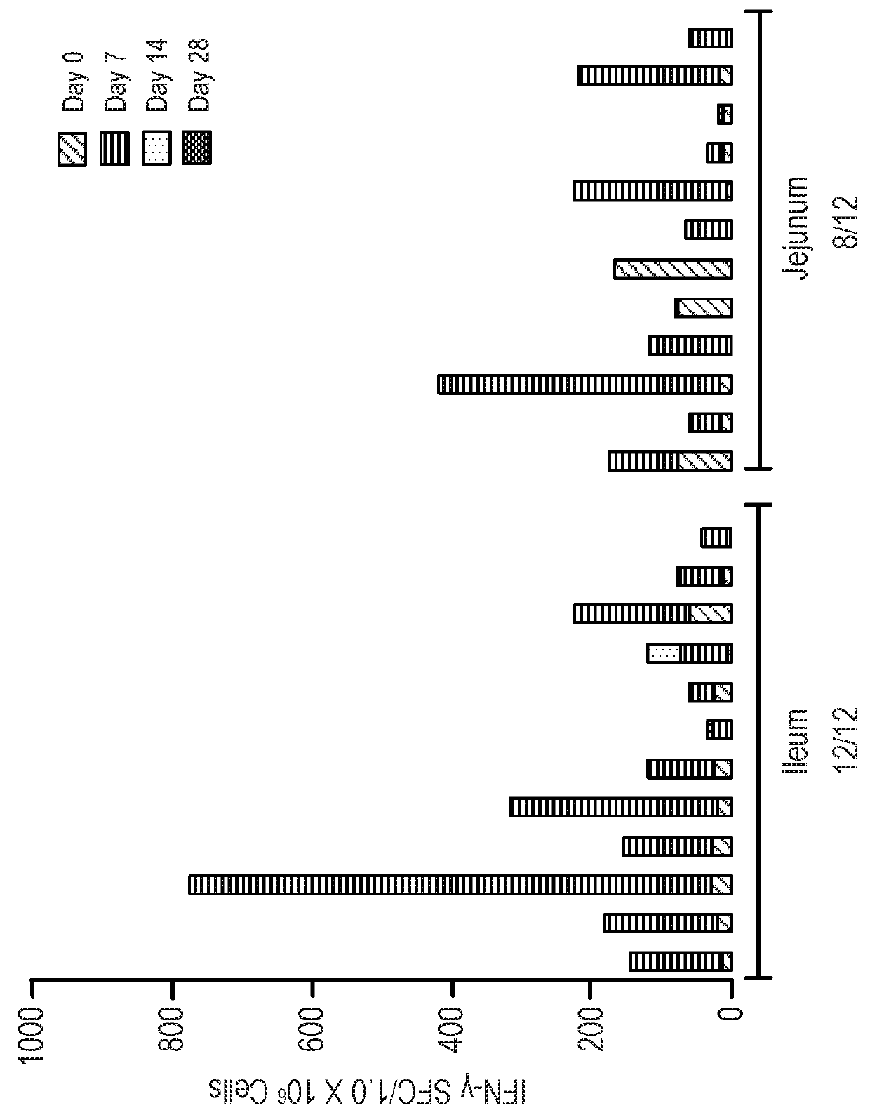 Formulations for small intestinal delivery of rsv and norovirus antigens