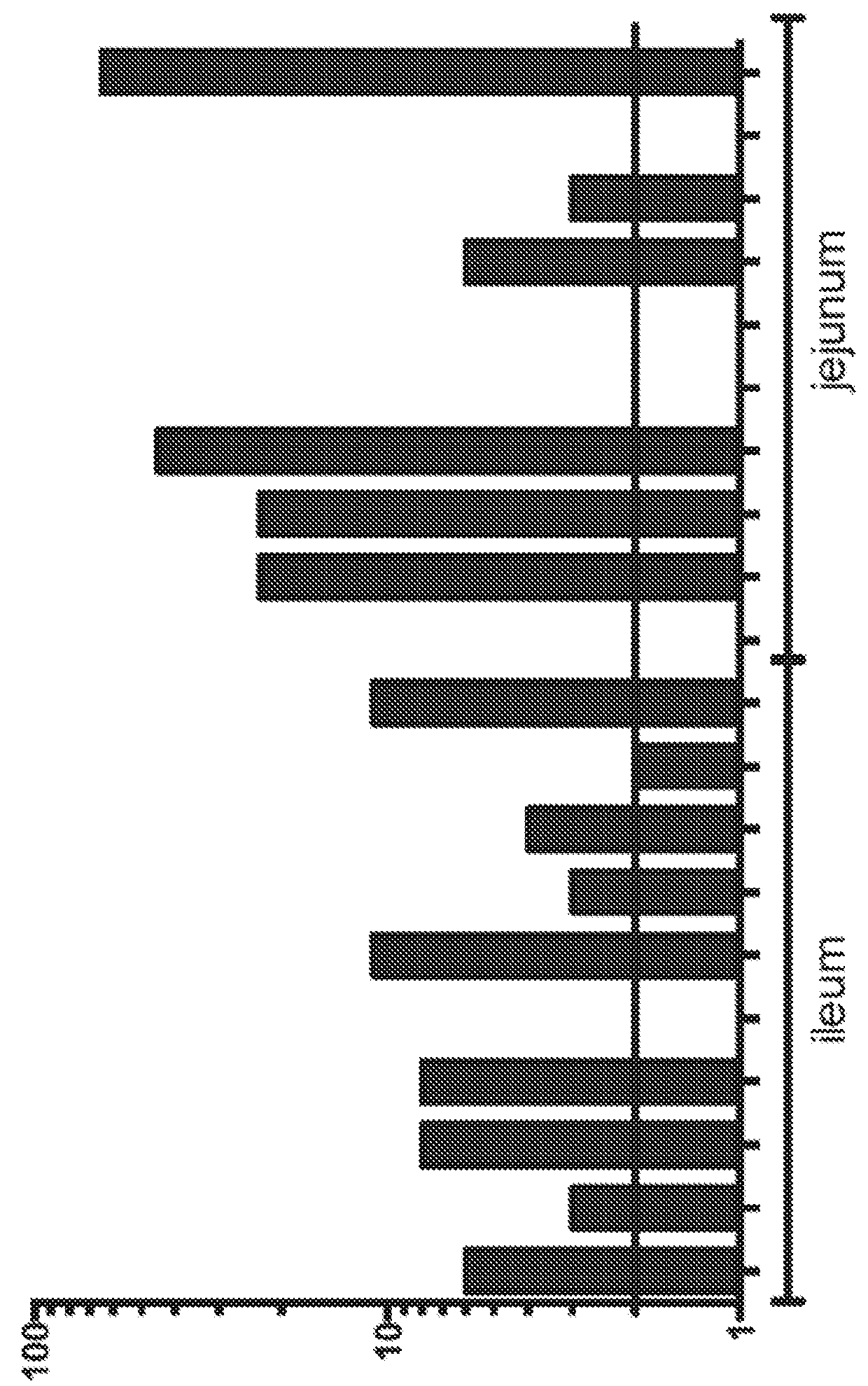 Formulations for small intestinal delivery of rsv and norovirus antigens