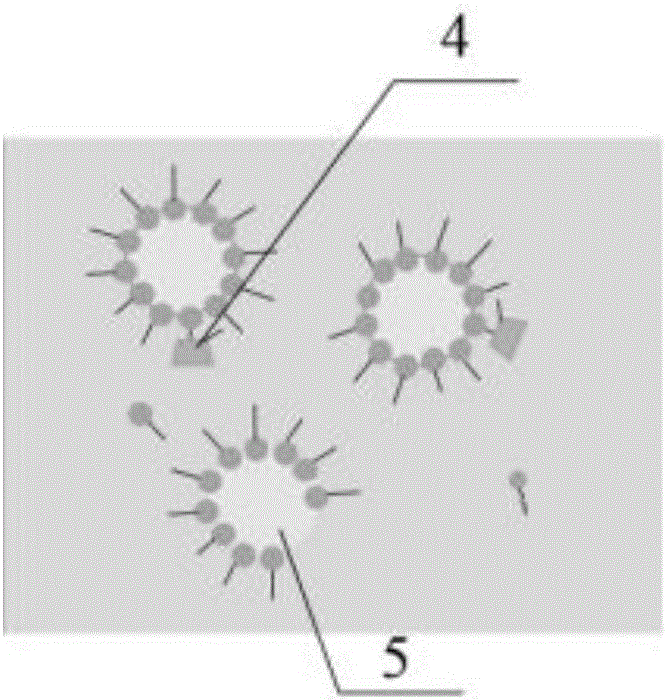 Preparation method of extracting agent for innocent treatment of industrial waste oil