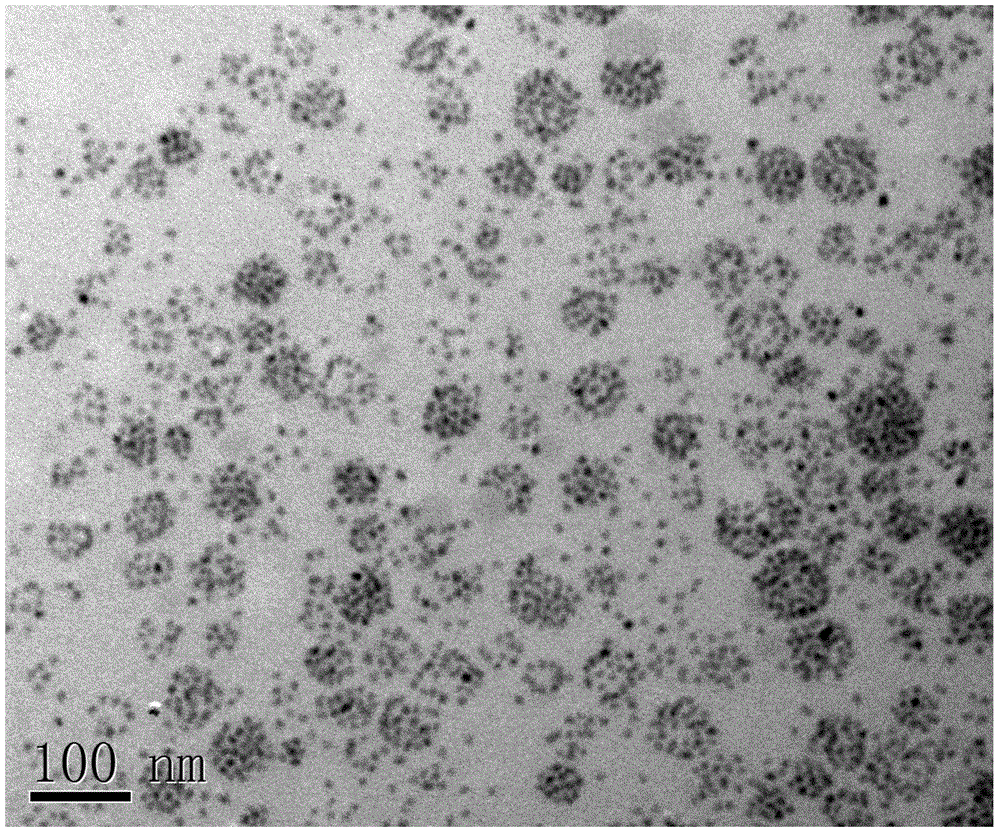 Preparation method for preparing hydrophilic quantum dots based on novel amphiphilic polymer ultrasonic emulsion process