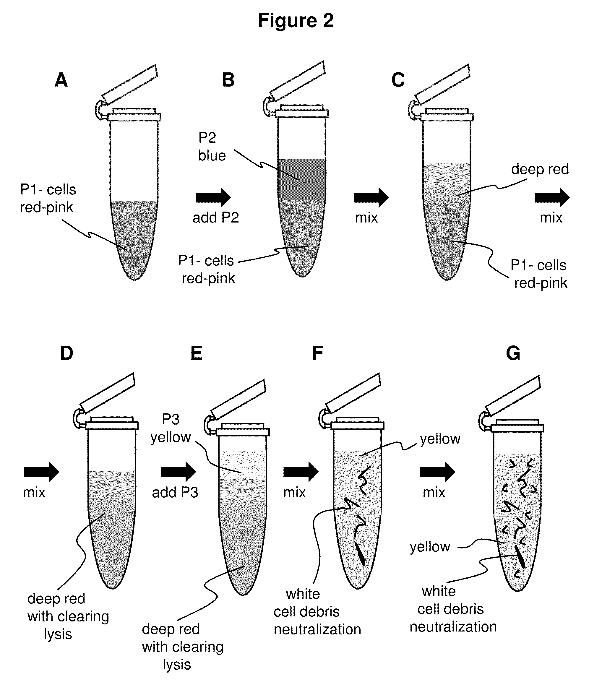 Isolation of nucleic acid using colored buffers