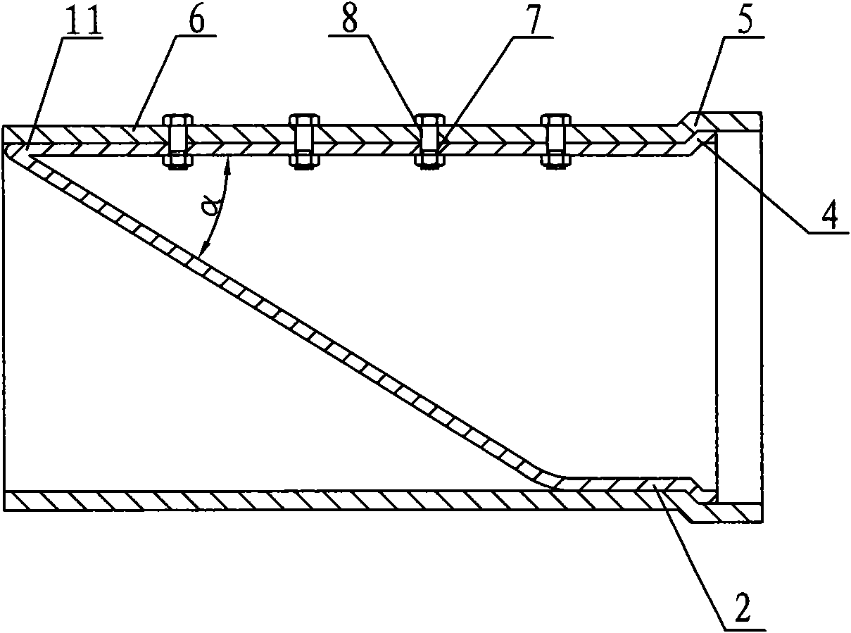 Pipeline flexible check valve