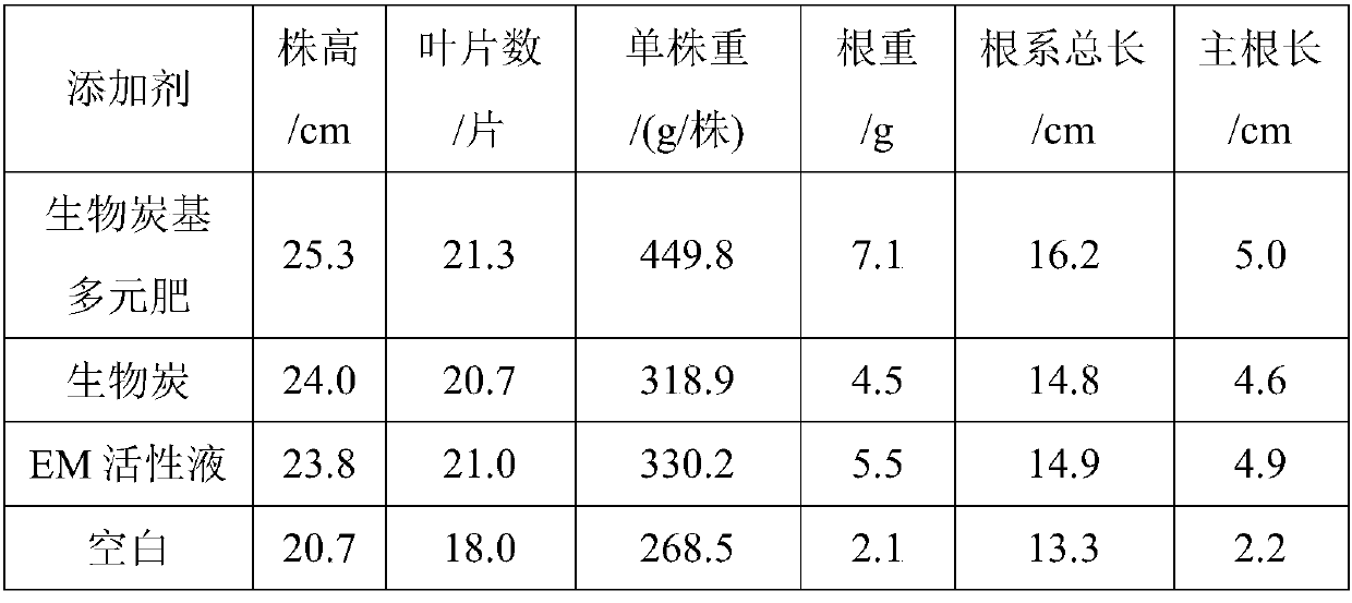 Biochar-based multi-element fertilizer and preparation method thereof