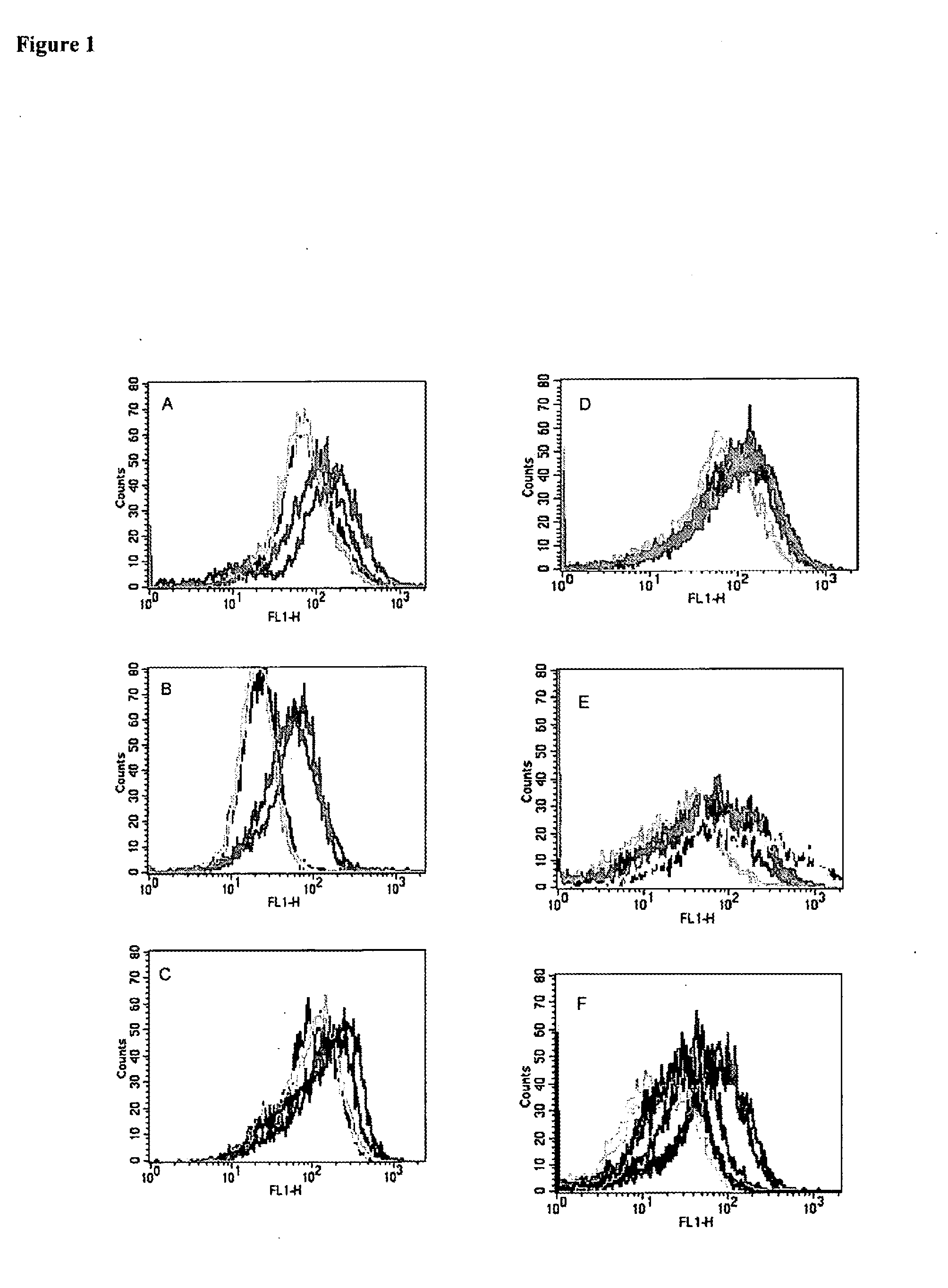 Mesothelin Vaccines and Model Systems