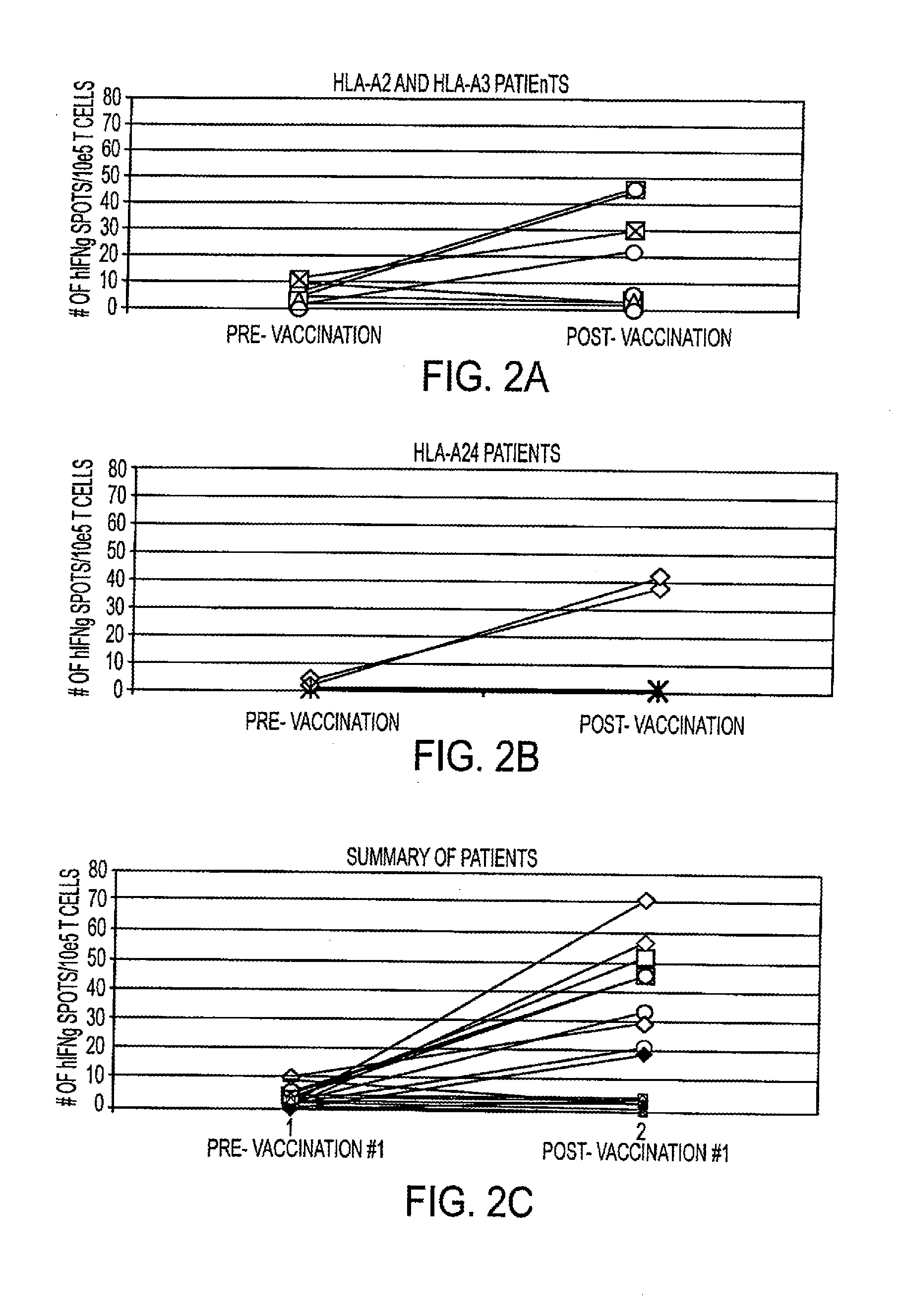 Mesothelin Vaccines and Model Systems