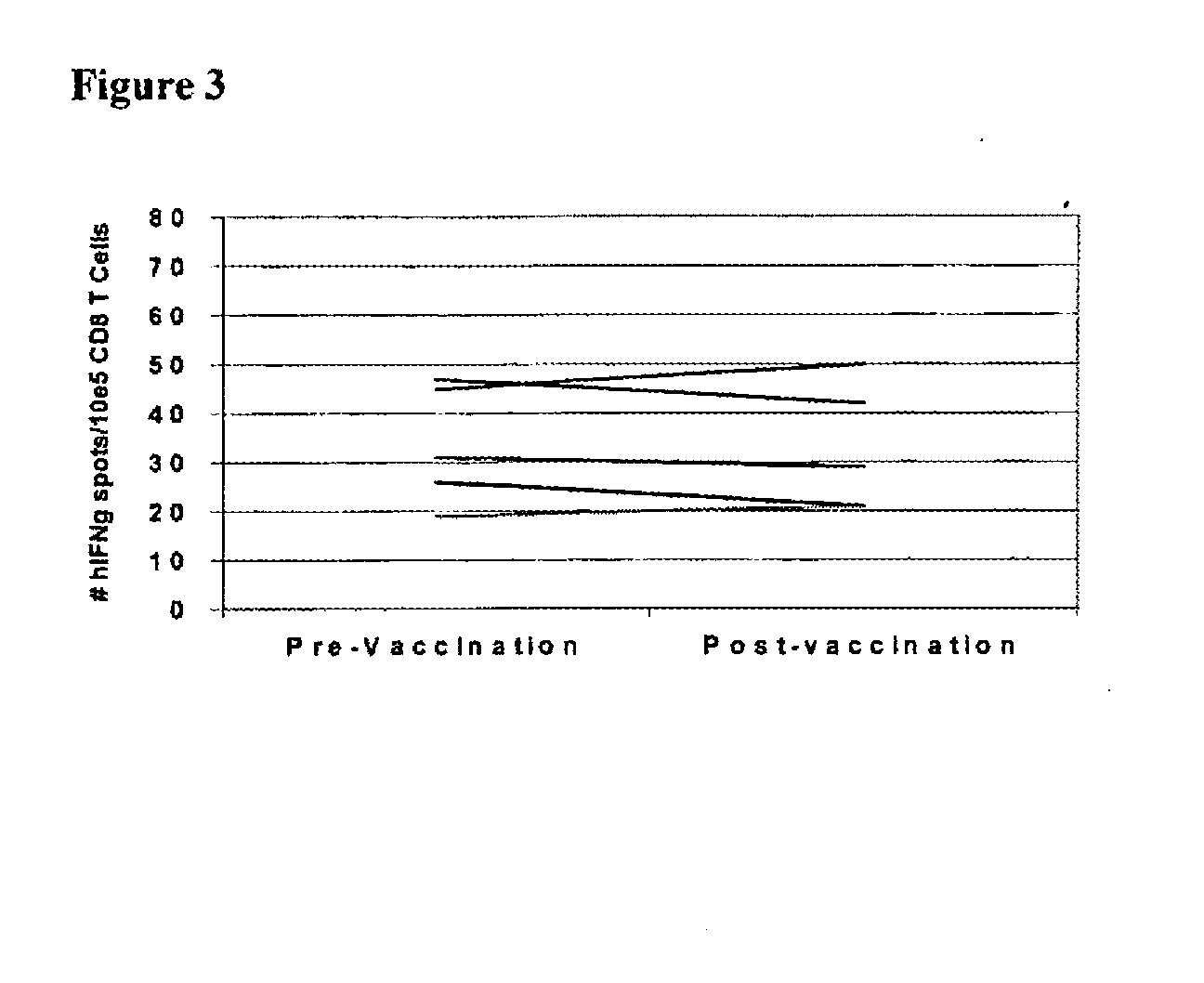 Mesothelin Vaccines and Model Systems