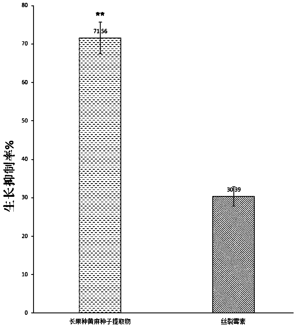 Preparation method and application of long fruit species jute seed extract