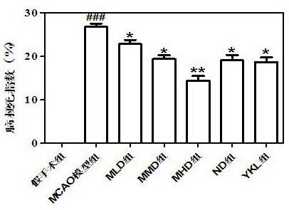 A kind of muscone patch and its preparation method and application