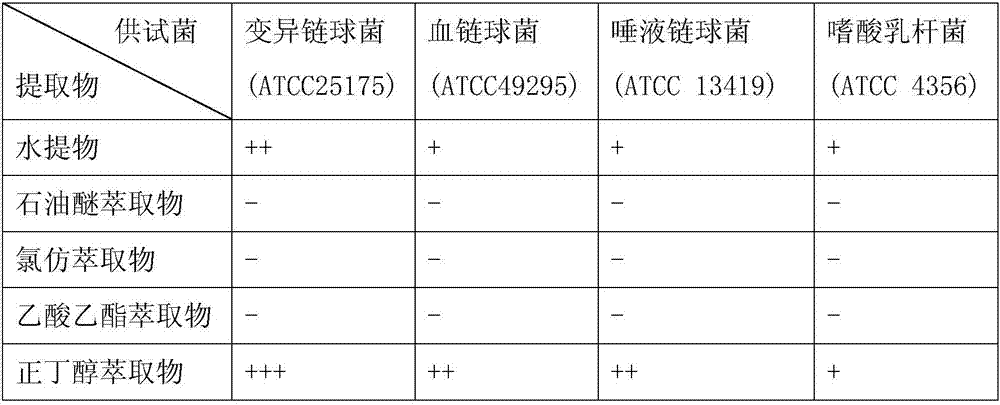 Bergenia crassifolia extract and extracting method and medical application in oral diseases