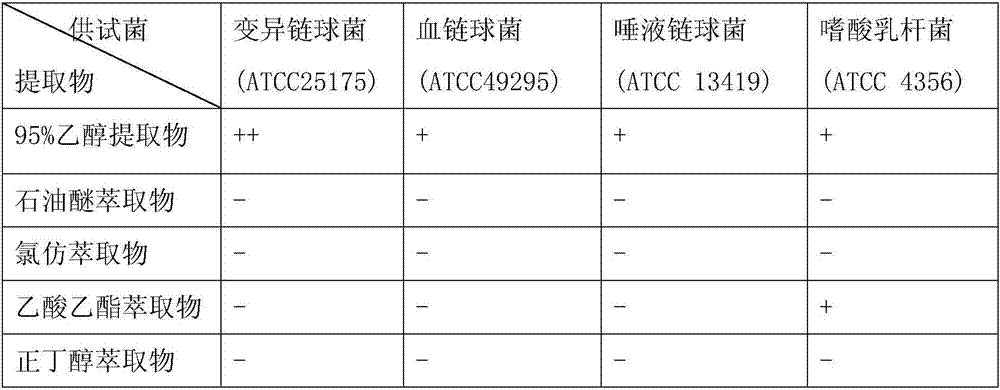 Bergenia crassifolia extract and extracting method and medical application in oral diseases