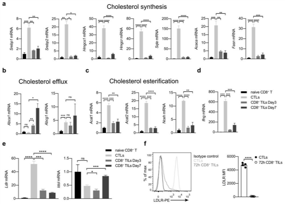 Application of LDLR (Low-Density Lipoprotein Receptor) in tumor immunotherapy and enhancement of immune effect of immune cells