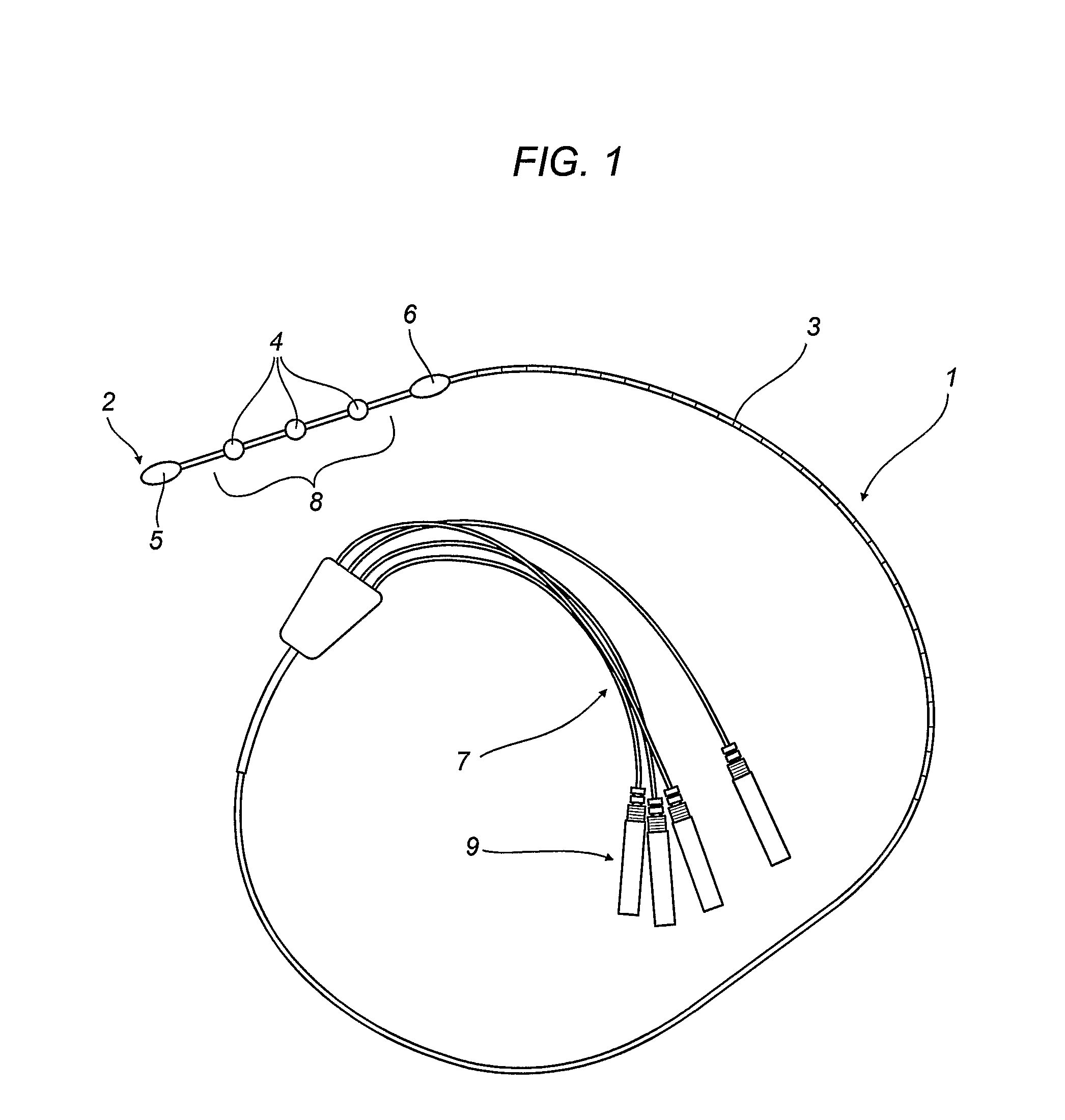 Esophageal Electrocatheter