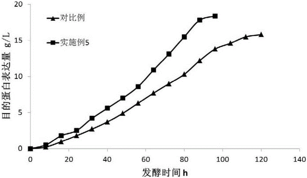 Pichia pastoris fermentation medium for large scale production of recombinant human collagen