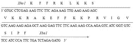 A kind of high-efficiency preparation method of antibacterial peptide cath-bf30 of golden snake