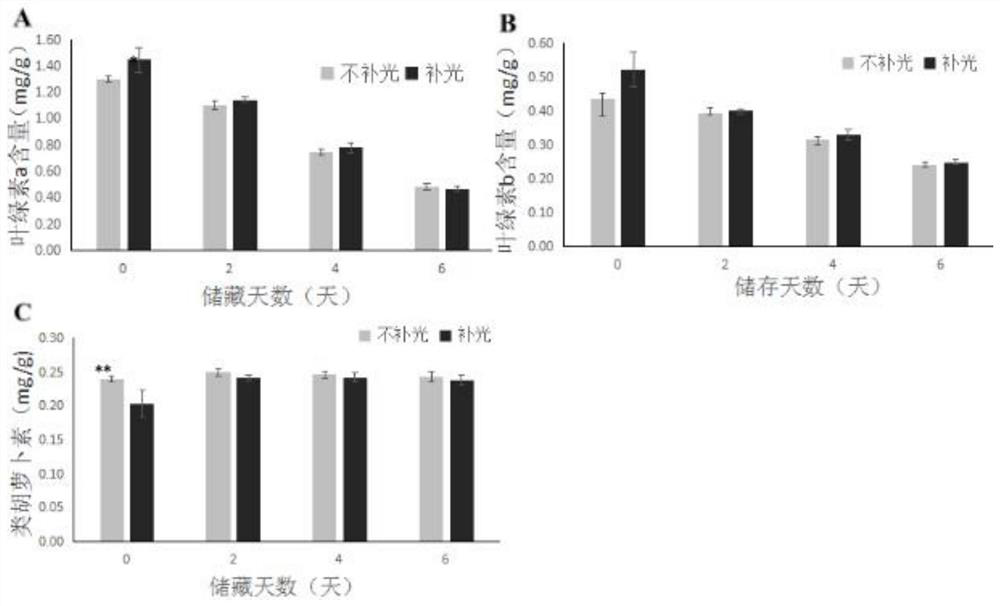 Method for improving postharvest quality and prolonging shelf life of cabbage mustard