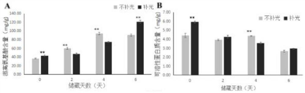 Method for improving postharvest quality and prolonging shelf life of cabbage mustard