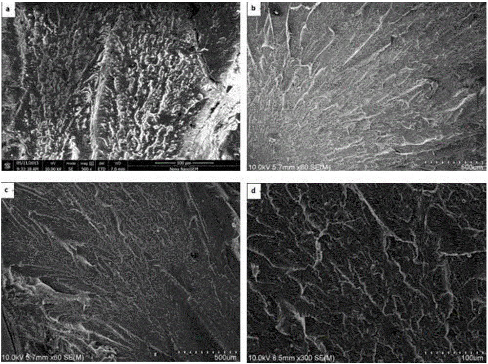 Graphene modified PA6 composite and preparation method thereof