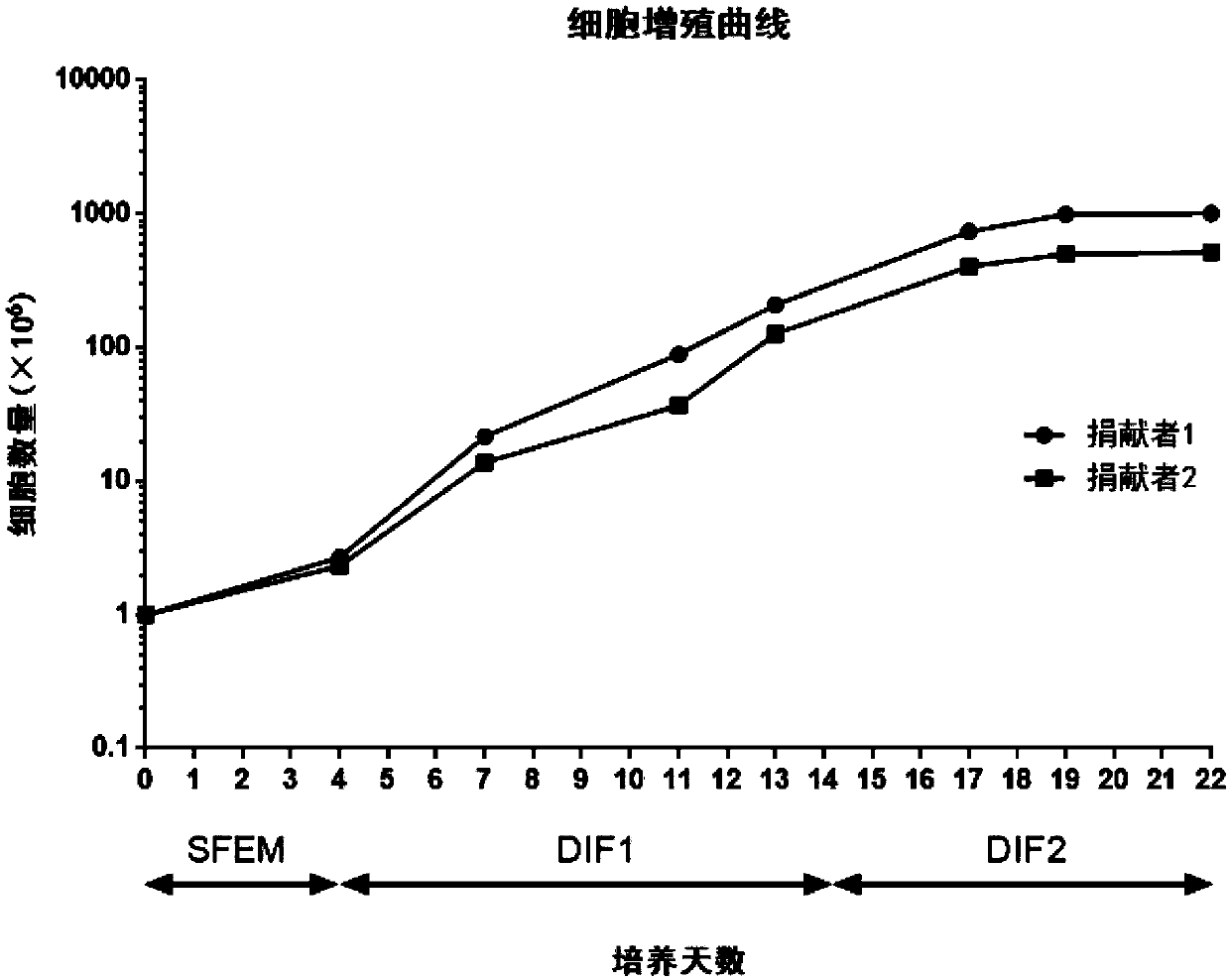 Method and preparation for preparing mature erythrocytes in vitro through peripheral blood