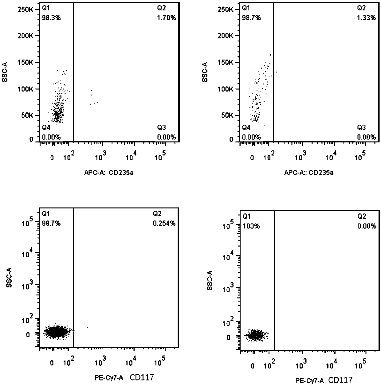 Method and preparation for preparing mature erythrocytes in vitro through peripheral blood